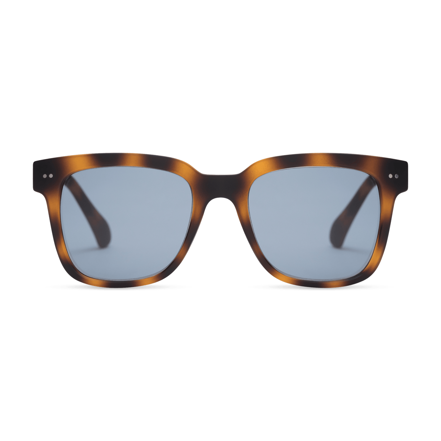 Laurel Sun Progressives SUN PROGRESSIVES LOOK OPTIC Tortoise +1.00 