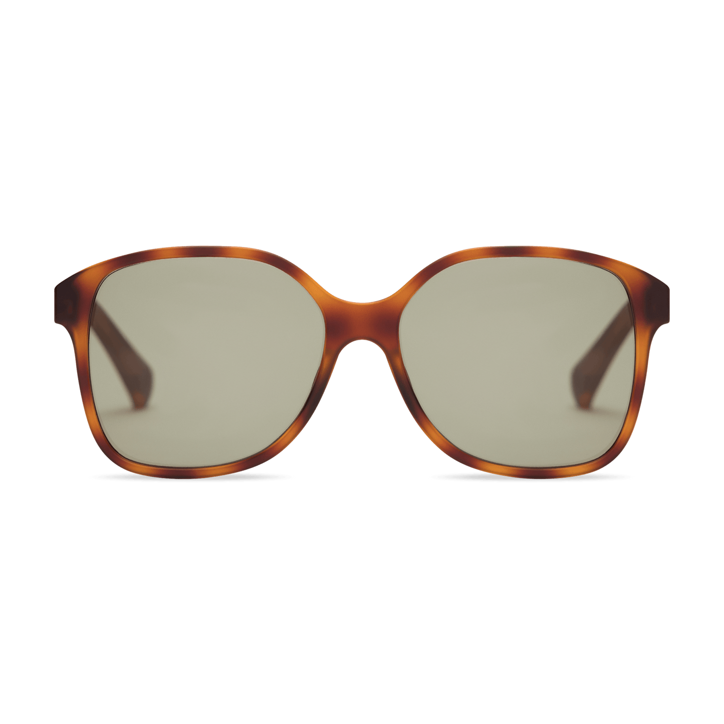 Stella Sun SUN READING LOOK OPTIC Chestnut +0.00 