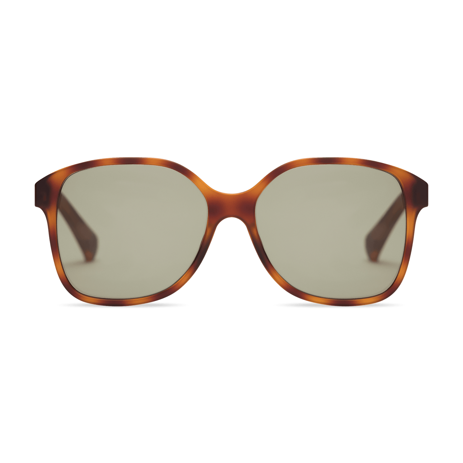 Stella Sun SUN READING LOOK OPTIC Chestnut +0.00 